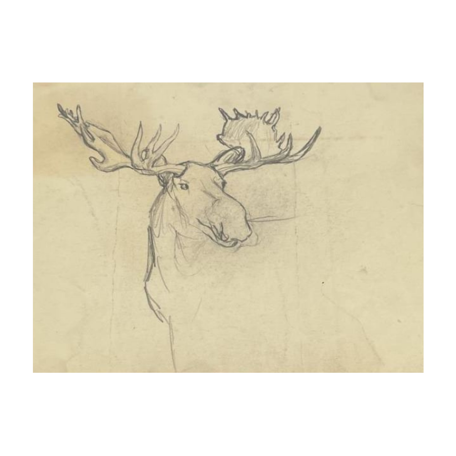 Philip Russell Goodwin Bull Moose Pencil Drawing